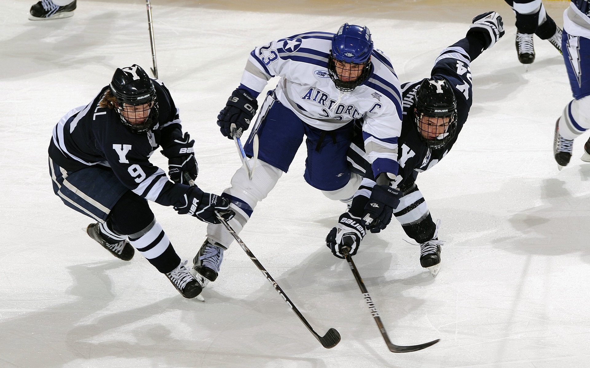 好博电竞在线平台-法甲新星崭露头角：未来领袖闪耀赛场！，法甲十大新星