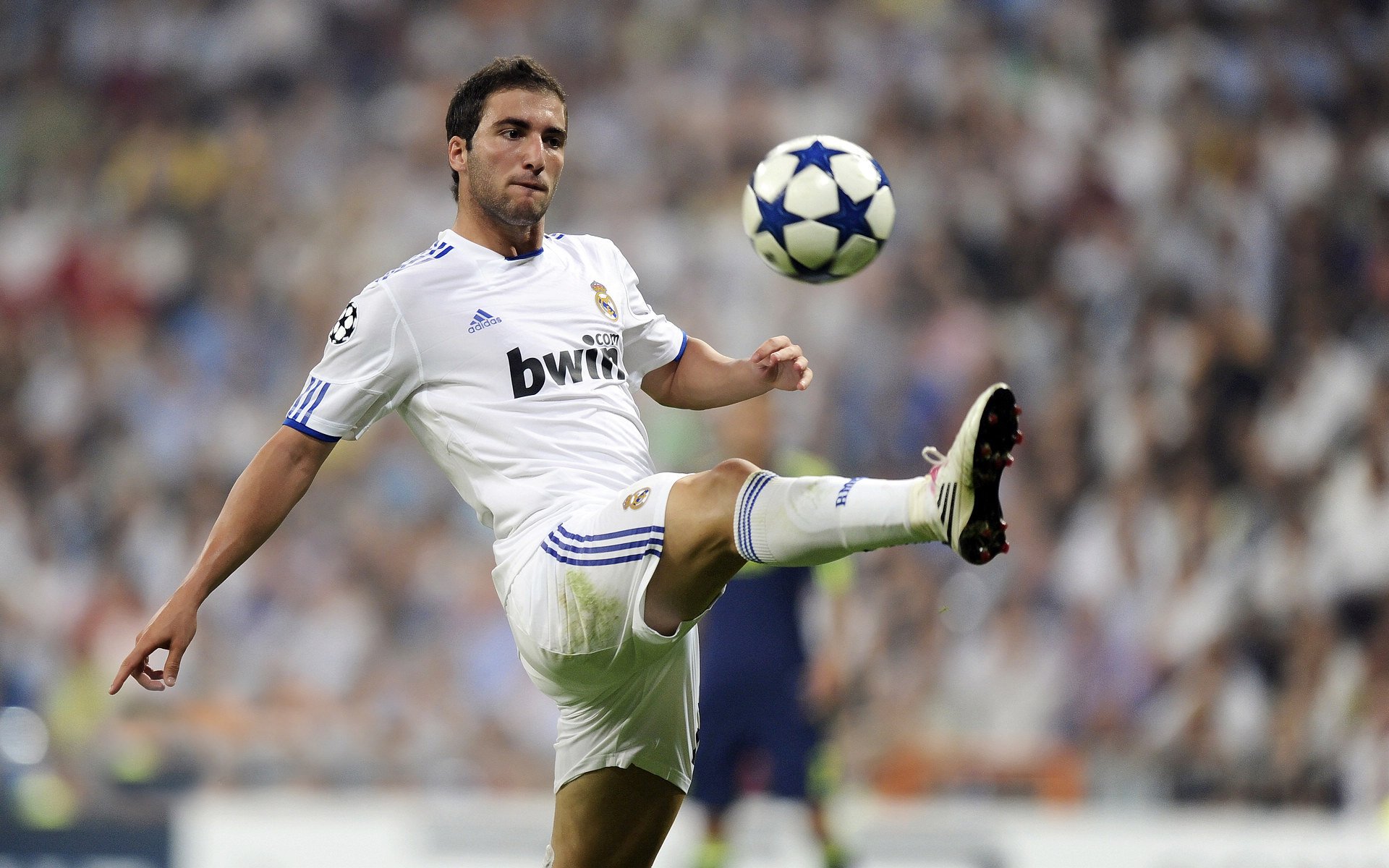 摩洛哥马术协会设立“Sinjska Alka”奖学金,支持传统马术研究。